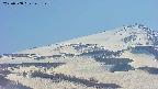 area4-20250508145139.jpg