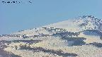 area4-20250508153128.jpg