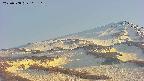 area4-20250508165119.jpg
