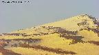 area4-20250509050132.jpg