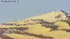 area4-20250509051210.jpg