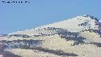 area4-20250509054253.jpg