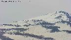 area4-20250509122302.jpg