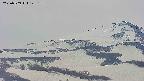 area4-20250509125142.jpg