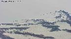area4-20250509130119.jpg