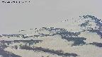 area4-20250509140120.jpg
