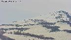 area4-20250509145119.jpg