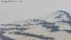 area4-20250509160205.jpg