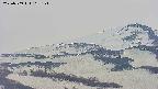 area4-20250509162126.jpg