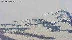 area4-20250509172118.jpg