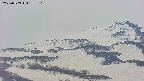 area4-20250509173127.jpg