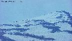 area4-20250509185111.jpg