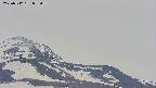 area4-20250512073056.jpg