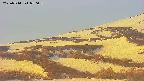 area4-20250514050055.jpg
