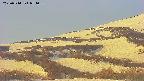 area4-20250514051057.jpg