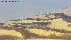 area4-20250514052056.jpg