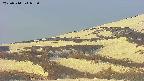 area4-20250514053054.jpg