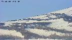 area4-20250514054053.jpg