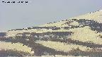area4-20250514061056.jpg