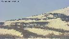 area4-20250514062057.jpg