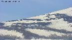 area4-20250514065056.jpg