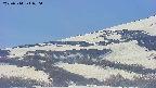 area4-20250514070059.jpg