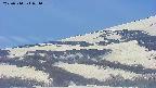 area4-20250514071057.jpg