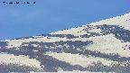 area4-20250514072056.jpg