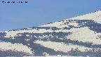 area4-20250514091057.jpg