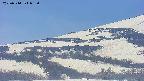 area4-20250514092056.jpg