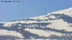 area4-20250514103056.jpg