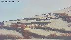 area4-20250514183057.jpg