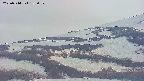 area4-20250514185058.jpg