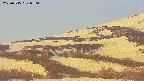 area4-20250515050056.jpg