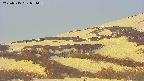 area4-20250515051059.jpg