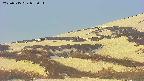 area4-20250515052055.jpg