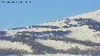 area4-20250515055055.jpg