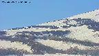 area4-20250515061058.jpg