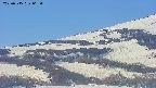 area4-20250515062058.jpg