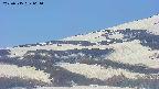 area4-20250515064056.jpg
