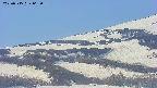 area4-20250515065056.jpg