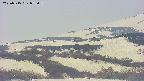 area4-20250515075055.jpg