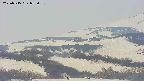 area4-20250515082056.jpg