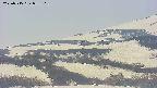 area4-20250515085104.jpg