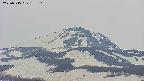 area4-20250515172104.jpg
