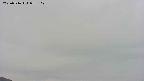 area4-20250516053107.jpg