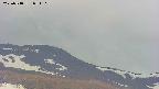 area4-20250518051104.jpg