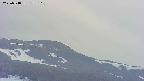 area4-20250518173106.jpg