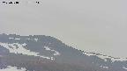 area4-20250518175105.jpg