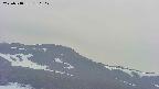area4-20250518180103.jpg
